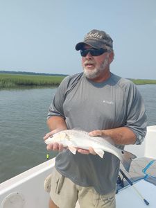 Folly Beach Fishing Charters, Red Drum